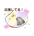 インコフレンズ1（個別スタンプ：20）