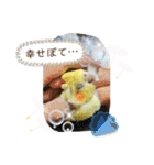 インコフレンズ1（個別スタンプ：33）