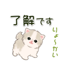 ふわもふにゃんこ 毎日使う言葉（個別スタンプ：1）