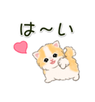 ふわもふにゃんこ 毎日使う言葉（個別スタンプ：3）