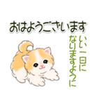 ふわもふにゃんこ 毎日使う言葉（個別スタンプ：5）