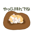 ふわもふにゃんこ 毎日使う言葉（個別スタンプ：10）