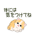 ふわもふにゃんこ 毎日使う言葉（個別スタンプ：12）