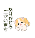 ふわもふにゃんこ 毎日使う言葉（個別スタンプ：14）