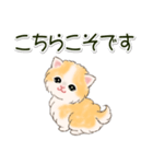 ふわもふにゃんこ 毎日使う言葉（個別スタンプ：16）