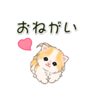 ふわもふにゃんこ 毎日使う言葉（個別スタンプ：20）