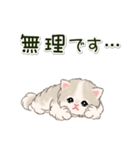 ふわもふにゃんこ 毎日使う言葉（個別スタンプ：23）