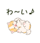 ふわもふにゃんこ 毎日使う言葉（個別スタンプ：25）