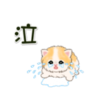 ふわもふにゃんこ 毎日使う言葉（個別スタンプ：27）