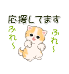 ふわもふにゃんこ 毎日使う言葉（個別スタンプ：30）