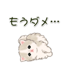 ふわもふにゃんこ 毎日使う言葉（個別スタンプ：31）