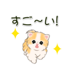 ふわもふにゃんこ 毎日使う言葉（個別スタンプ：33）