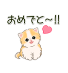 ふわもふにゃんこ 毎日使う言葉（個別スタンプ：34）