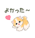 ふわもふにゃんこ 毎日使う言葉（個別スタンプ：35）