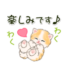 ふわもふにゃんこ 毎日使う言葉（個別スタンプ：36）