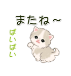 ふわもふにゃんこ 毎日使う言葉（個別スタンプ：40）