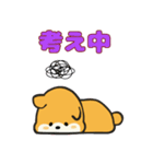 柴犬サン2（NT）（個別スタンプ：6）