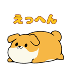 柴犬サン2（NT）（個別スタンプ：9）