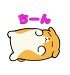 柴犬サン2（NT）（個別スタンプ：11）