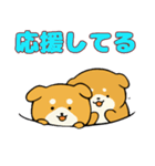 柴犬サン2（NT）（個別スタンプ：14）