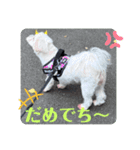 めりる20241017（個別スタンプ：8）