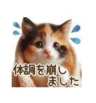 ねこの日常と待ち合わせ‪ᥫᩣ  ̖́-（個別スタンプ：34）