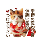 ねこの日常と待ち合わせ‪ᥫᩣ  ̖́-（個別スタンプ：40）