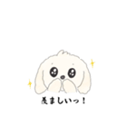 マルポメの日常（個別スタンプ：5）