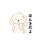 マルポメの日常（個別スタンプ：16）