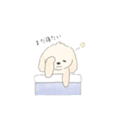 マルポメの日常（個別スタンプ：17）