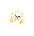 マルポメの日常（個別スタンプ：31）