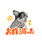 こてつ Part3（個別スタンプ：1）