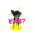こてつ Part3（個別スタンプ：2）
