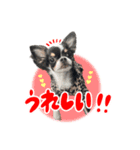 こてつ Part3（個別スタンプ：3）