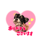 こてつ Part3（個別スタンプ：5）