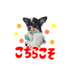 こてつ Part3（個別スタンプ：6）