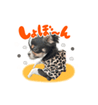 こてつ Part3（個別スタンプ：7）