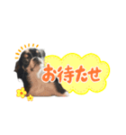 こてつ Part3（個別スタンプ：8）