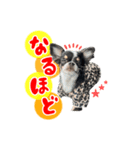 こてつ Part3（個別スタンプ：9）