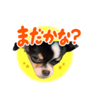 こてつ Part3（個別スタンプ：11）