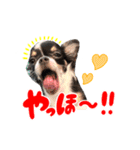 こてつ Part3（個別スタンプ：12）