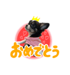 こてつ Part3（個別スタンプ：16）