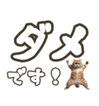 毎日使える日常会話☆デカ文字☆猫☆ネコ（個別スタンプ：4）