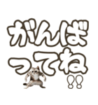 毎日使える日常会話☆デカ文字☆猫☆ネコ（個別スタンプ：6）