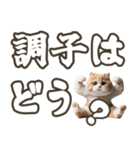 毎日使える日常会話☆デカ文字☆猫☆ネコ（個別スタンプ：22）