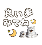 毎日使える日常会話☆デカ文字☆猫☆ネコ（個別スタンプ：32）