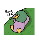 ぼそぼそ鳥とねぎカモの日常（個別スタンプ：18）