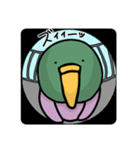 ぼそぼそ鳥とねぎカモの日常（個別スタンプ：37）