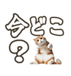 毎日使える☆待ち合わせ＆日常会話☆猫ネコ（個別スタンプ：14）