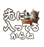 毎日使える☆待ち合わせ＆日常会話☆猫ネコ（個別スタンプ：29）